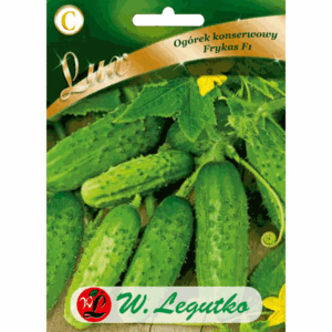 Ogórek konserwowy odm. Frykas F1 W. LEGUTKO