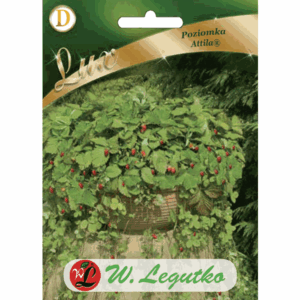 Poziomka odm. Attila W. LEGUTKO