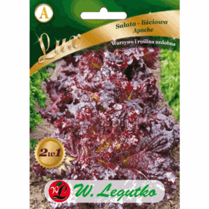 Sałata liściowa odm. Apache W. LEGUTKO
