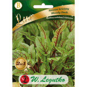 Szczaw krwisty odm. Bloody Dock W. LEGUTKO