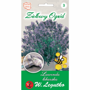 Lawenda lekarska W. LEGUTKO