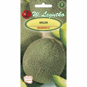 Melon odm. Seledyn mieszaniec F1 W. LEGUTKO