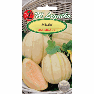 Melon odm. Malaga F1 W. LEGUTKO