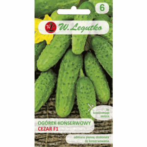 Ogórek konserwowy odm. Cezar F1 W. LEGUTKO