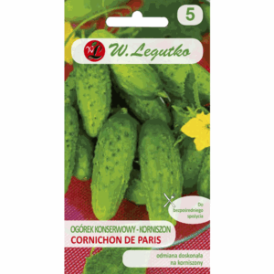Ogórek konserwowy – typ korniszon odm. Cornichon De Paris W. LEGUTKO