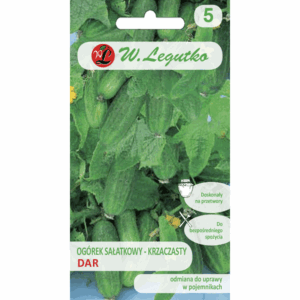 Ogórek sałatkowy – krzaczasty odm. Dar W. LEGUTKO