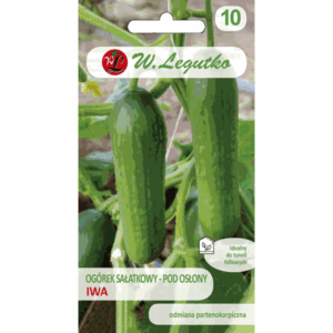 Ogórek sałatkowy, pod osłony odm. Iwa W. LEGUTKO