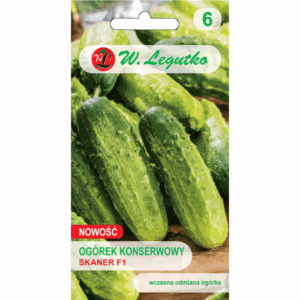 Ogórek konserwowy odm. Skaner F1 W. LEGUTKO