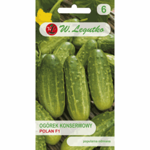 Ogórek konserwowy odm. Polan F1 W. LEGUTKO