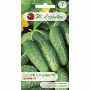 Ogórek konserwowy odm. Borus F1 W. LEGUTKO