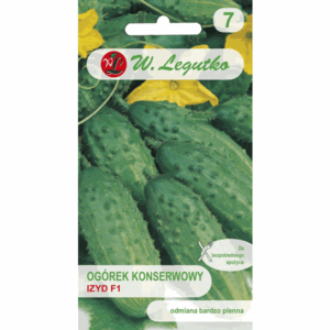 Ogórek konserwowy odm. Izyd F1 W. LEGUTKO