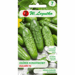 Ogórek konserwowy odm. Julian F1 W. LEGUTKO