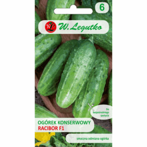 Ogórek konserwowy odm. Racibor F1 W. LEGUTKO