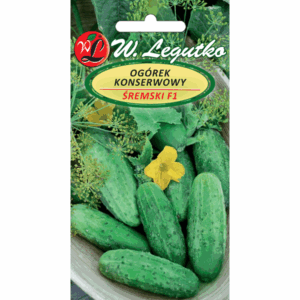 Ogórek konserwowy odm. Śremski F1 W. LEGUTKO
