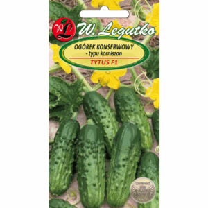 Ogórek konserwowy – typu korniszon odm. Tytus F1 W. LEGUTKO