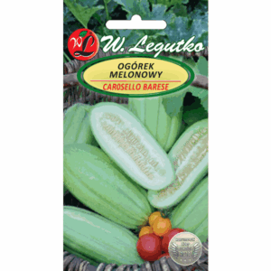 Ogórek melonowy odm. Carosello Barese W. LEGUTKO