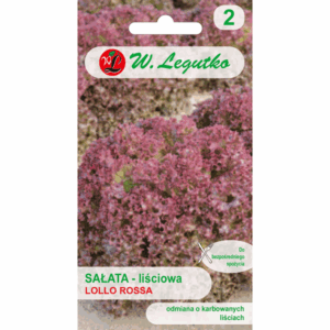 Sałata liściowa odm. Lollo Rossa W. LEGUTKO
