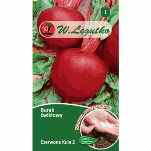 Burak ćwikłowy odm. Czerwona kula 2 W. LEGUTKO