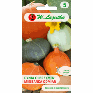 Dynia olbrzymia – Mieszanka odmian (Golias, Ambar, Pink Banana Jumbo, Uchiki Kuri) W. LEGUTKO