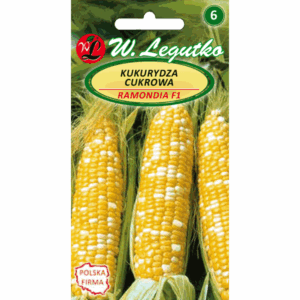 Kukurydza cukrowa odm. Ramondia F1 W. LEGUTKO