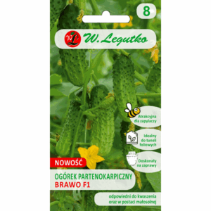 Ogórek partenokarpiczny odm. Brawo F1 W. LEGUTKO