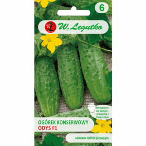 Ogórek konserwowy odm. Odys F1 W. LEGUTKO