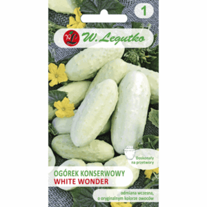 Ogórek konserwowy odm. White Wonder W. LEGUTKO