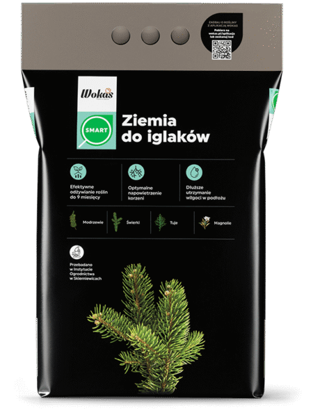 Ziemia do iglaków