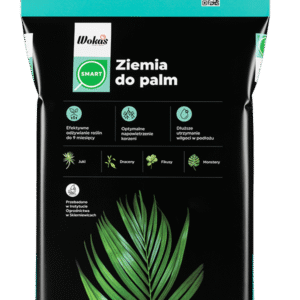 Ziemia do palm