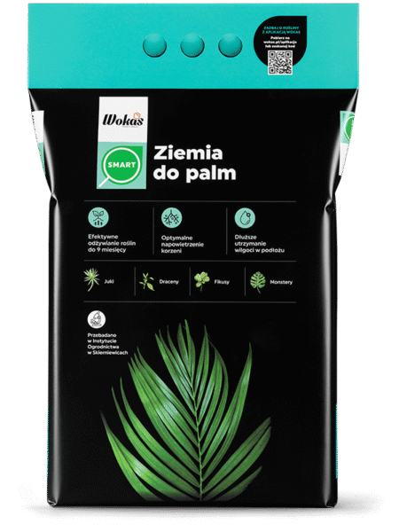 Ziemia do palm