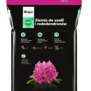 Ziemia do azalii i rododendronów