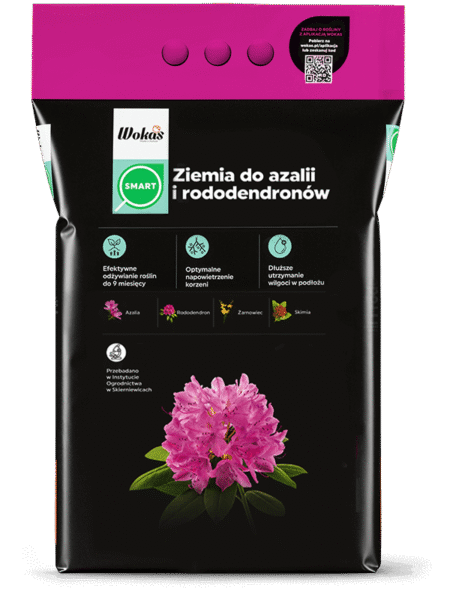 Ziemia do azalii i rododendronów
