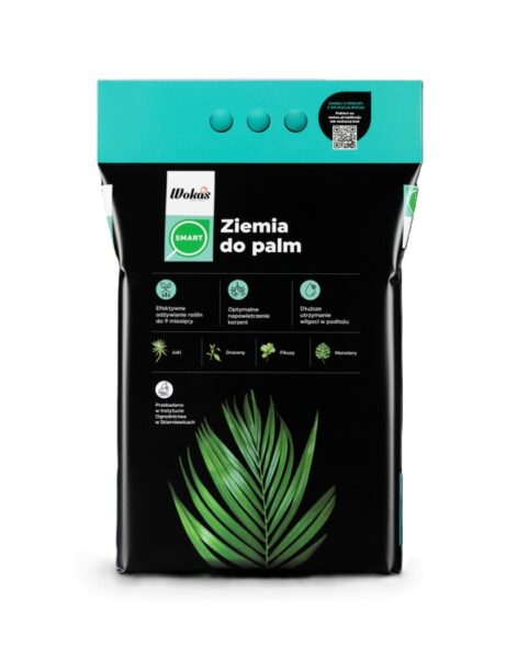 Ziemia do palm
