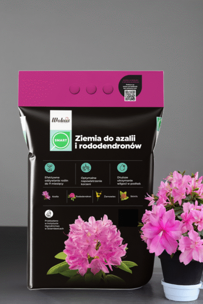 Ziemia do azalii i rododendronów
