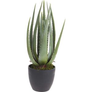 Aloes sztuczny w donicy (Kopia)