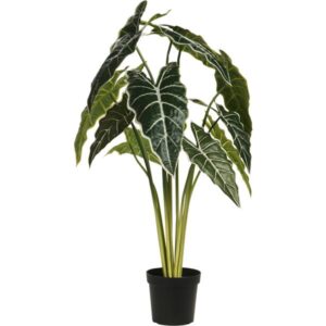 Alocasia sztuczna w donicy