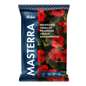 Linia Masterra