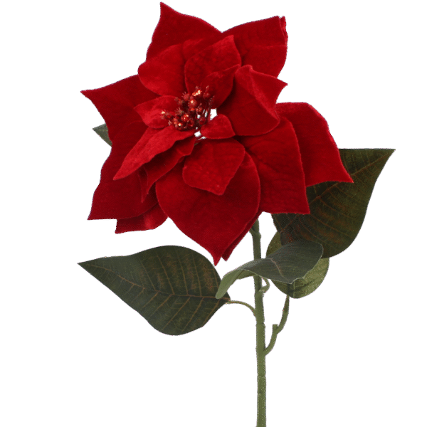 Sztuczna Gałązka – Gwiazda Betlejemska 80 cm