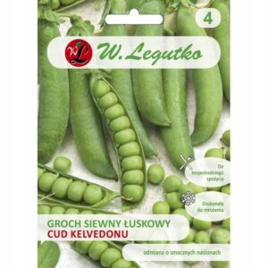 GROCH SIEWNY ŁUSKOWY CUD KELVEDONU LEGUTKO