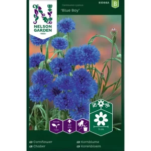 Chaber bławatek Blue Boy niebieski – Nasiona – Nelson Garden
