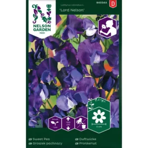 Groszek pachnący Lord Nelson