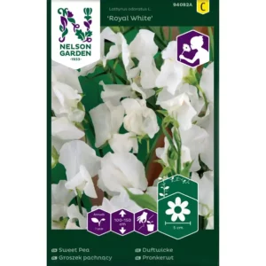 Groszek pachnący Royal White biały Nasiona Nelson Garden