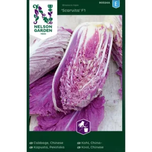 KAPUSTA PEKIŃSKA SCARVITA F1 10 nasion ZACHOWUJE KOLOR PO UGOTOWANIU 'NELSO