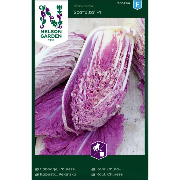 KAPUSTA PEKIŃSKA SCARVITA F1 10 nasion ZACHOWUJE KOLOR PO UGOTOWANIU 'NELSO