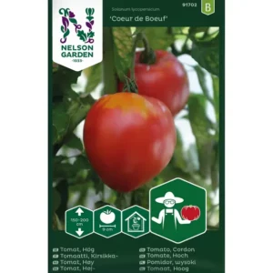 Pomidor bawole serca 'Coeur de Boeuf’ nasiona Nelson Garden