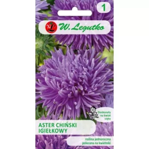 ASTER CHIŃSKI IGIEŁKOWY FIOLETOWY LEGUTKO