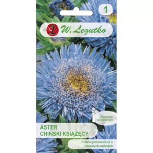 ASTER CHIŃSKI KSIĄŻĘCY NIEBIESKIE LEGUTKO