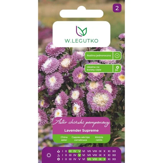 Aster chiński pomponowy Lavender Supreme lawendowy 1g Legutko