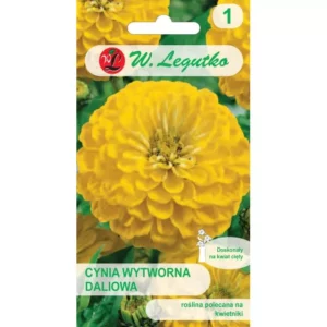 Cynia wytworna dal. Canary Bird kanarkowożółte Legutko