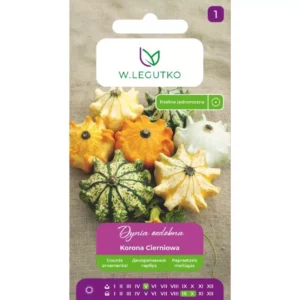 Dynia ozdobna Korona Cierniowa W.Legutko 1g